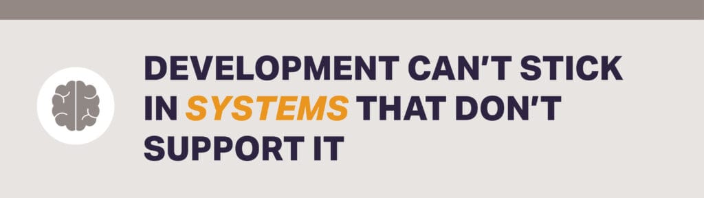 Development Cant Stick in Systems That Don't Support It